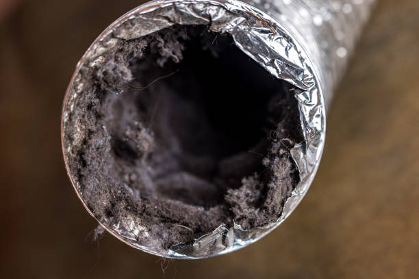 Best Professional Duct Cleaning Services  in Paulden, AZ