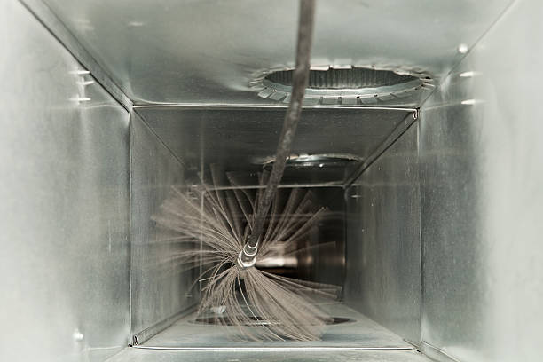 Best Local Air Duct Cleaning Services  in Paulden, AZ