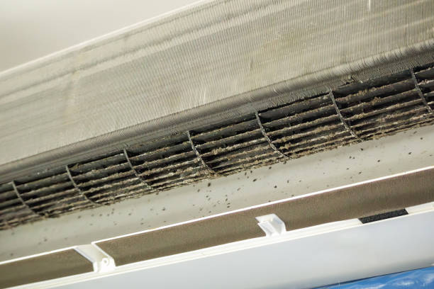 Best Air Quality Test  in Paulden, AZ