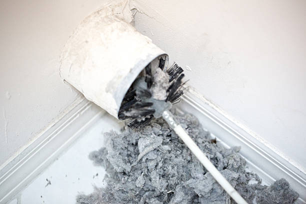 Best Affordable HVAC Duct Cleaning  in Paulden, AZ